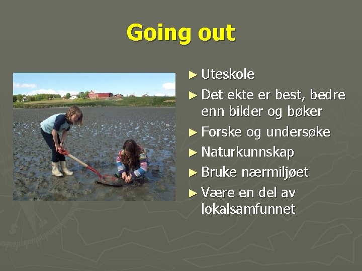 Going out ► Uteskole ► Det ekte er best, bedre enn bilder og bøker