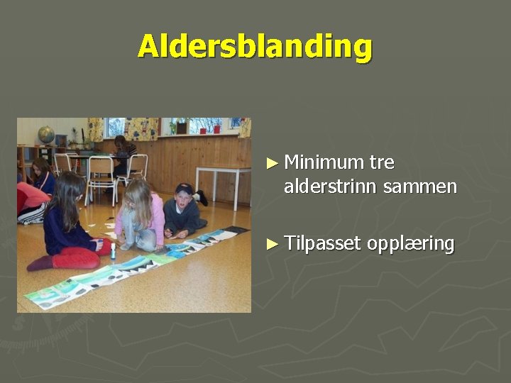 Aldersblanding ► Minimum tre alderstrinn sammen ► Tilpasset opplæring 