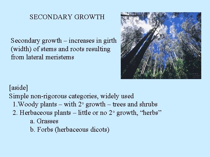 SECONDARY GROWTH Secondary growth – increases in girth (width) of stems and roots resulting