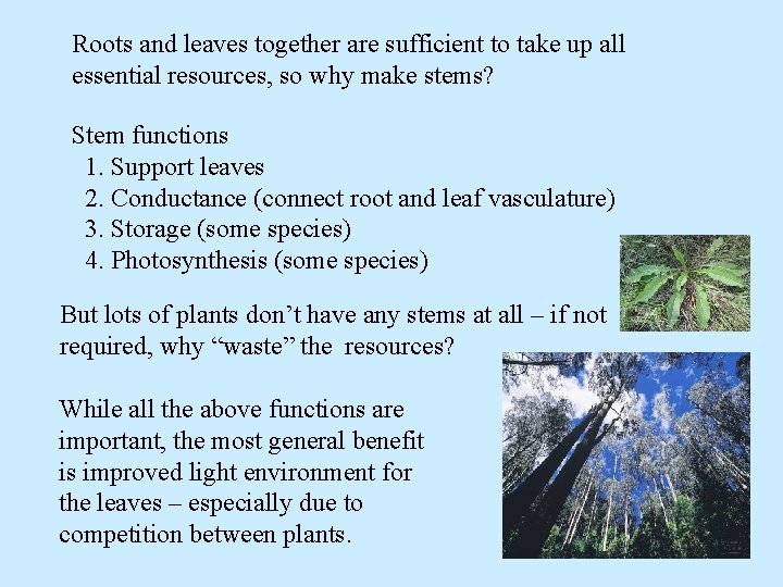 Roots and leaves together are sufficient to take up all essential resources, so why