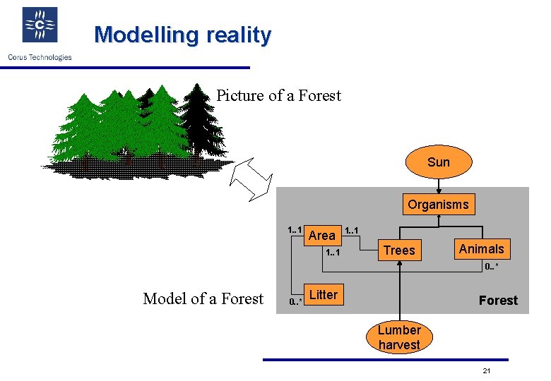 Modelling reality Picture of a Forest Sun Organisms 1. . 1 Area 1. .