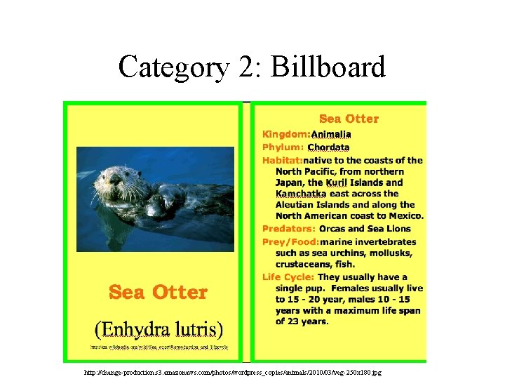 Category 2: Billboard http: //change-production. s 3. amazonaws. com/photos/wordpress_copies/animals/2010/03/veg-250 x 180. jpg Category 2: Billboard http: //change-production. s 3. amazonaws. com/photos/wordpress_copies/animals/2010/03/veg-250 x 180. jpg