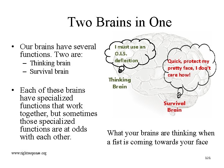 Two Brains in One • Our brains have several functions. Two are: – Thinking