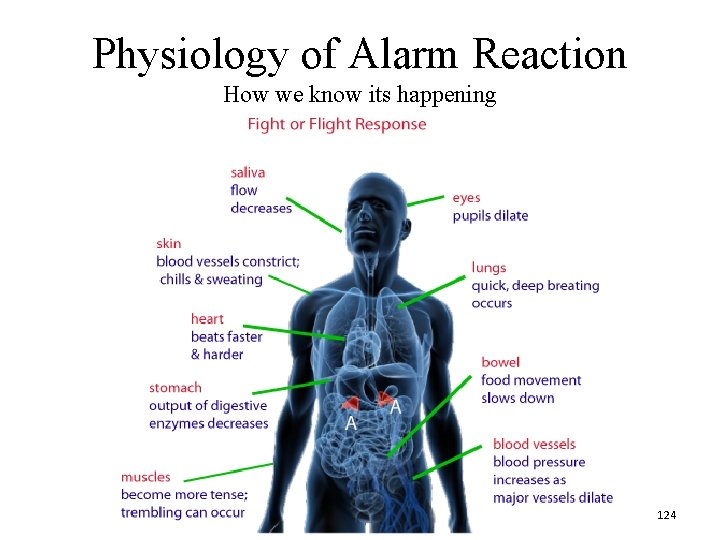 Physiology of Alarm Reaction How we know its happening 124 