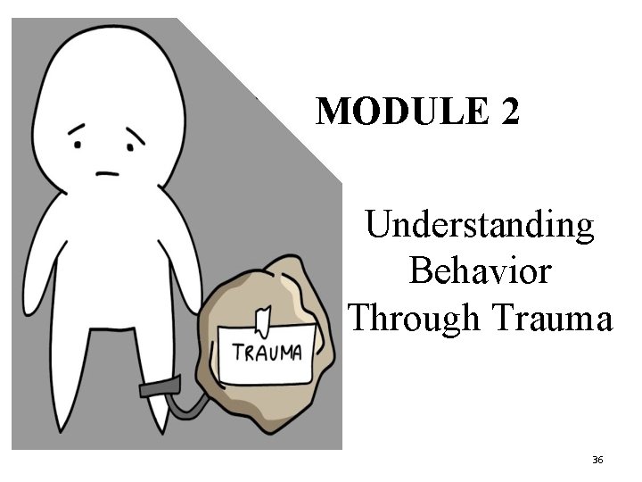 MODULE 2 Understanding Behavior Through Trauma 36 