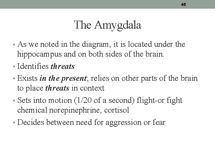 45 The Amygdala • As we noted in the diagram, it is located under