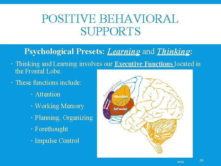 POSITIVE BEHAVIORAL SUPPORTS Psychological Presets: Learning and Thinking: Thinking and Learning involves our Executive