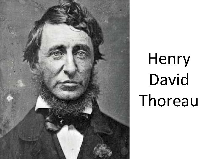 Henry David Thoreau 