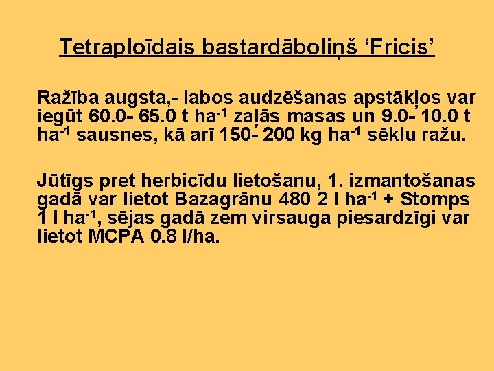 Tetraploīdais bastardāboliņš ‘Fricis’ Ražība augsta, - labos audzēšanas apstākļos var iegūt 60. 0 -