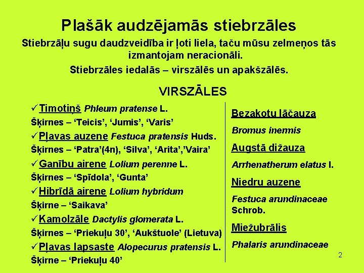 Plašāk audzējamās stiebrzāles Stiebrzāļu sugu daudzveidība ir ļoti liela, taču mūsu zelmeņos tās izmantojam