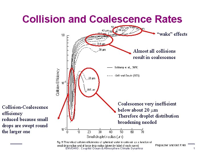 Collision and Coalescence Rates “wake” effects Almost all collisions result in coalescence Collision-Coalescence efficiency