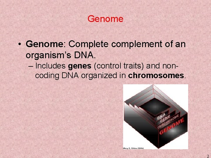 Genome • Genome: Complete complement of an organism’s DNA. – Includes genes (control traits)