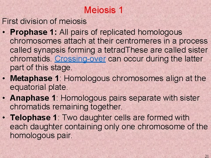 Meiosis 1 First division of meiosis • Prophase 1: All pairs of replicated homologous