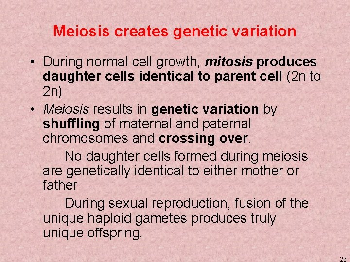 Meiosis creates genetic variation • During normal cell growth, mitosis produces daughter cells identical