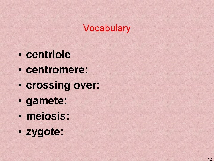 Vocabulary • • • centriole centromere: crossing over: gamete: meiosis: zygote: 42 