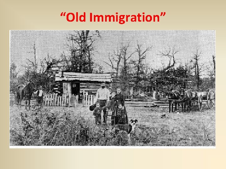 “Old Immigration” 