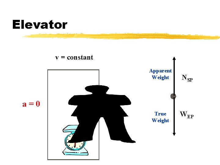 Elevator v = constant Apparent Weight NSP a=0 True Weight WEP 