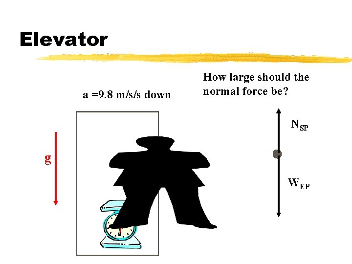 Elevator a =9. 8 m/s/s down How large should the normal force be? NSP