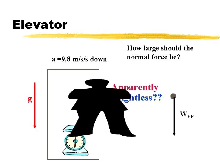 Elevator a =9. 8 m/s/s down g How large should the normal force be?