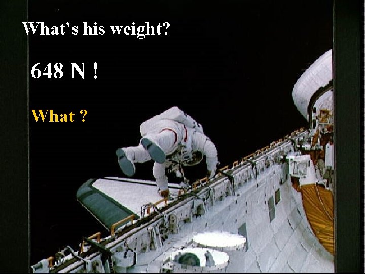 What’s his weight? 648 N ! What ? 