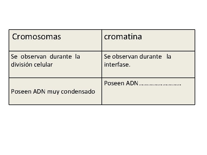 Cromosomas cromatina Se observan durante la división celular Se observan durante la interfase. Poseen