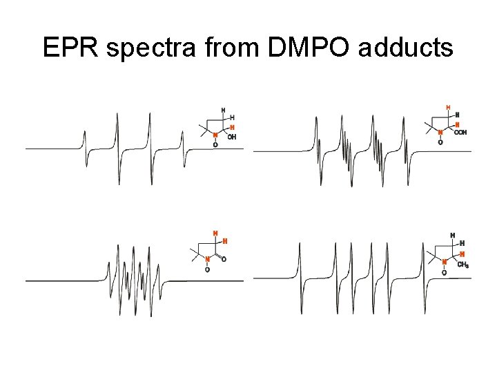 EPR spectra from DMPO adducts 