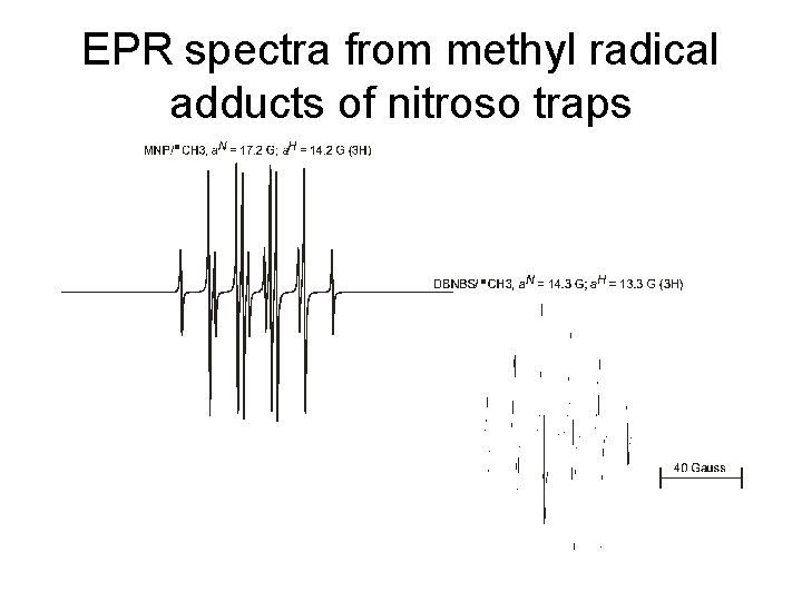 EPR spectra from methyl radical adducts of nitroso traps 