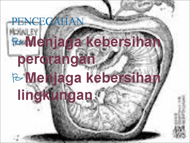PENCEGAHAN Menjaga kebersihan perorangan Menjaga kebersihan lingkungan 