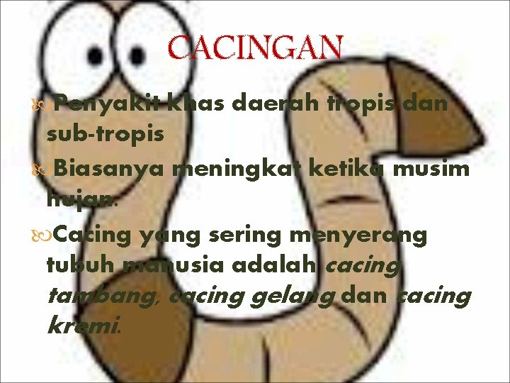 CACINGAN Penyakit khas daerah tropis dan sub-tropis Biasanya meningkat ketika musim hujan. Cacing yang