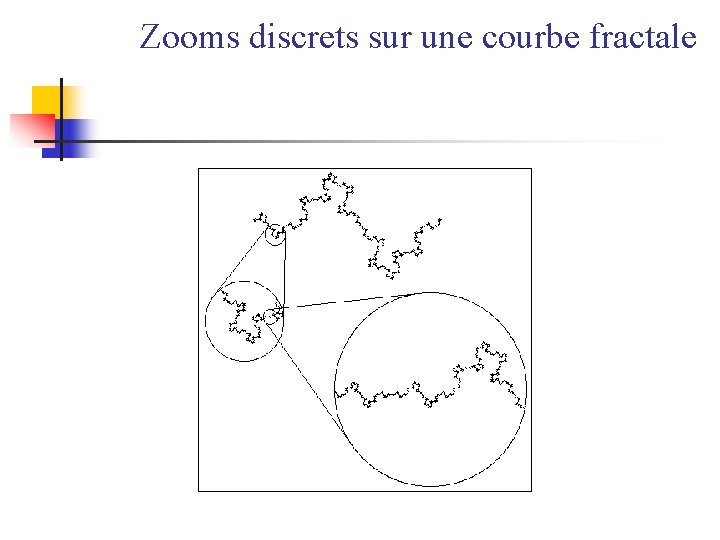 Zooms discrets sur une courbe fractale 