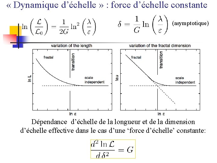  « Dynamique d’échelle » : force d’échelle constante (asymptotique) Dépendance d’échelle de la