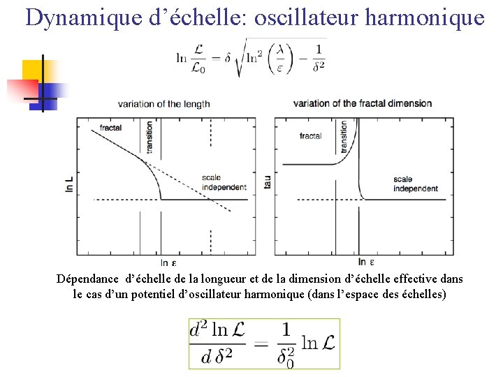 Dynamique d’échelle: oscillateur harmonique Dépendance d’échelle de la longueur et de la dimension d’échelle