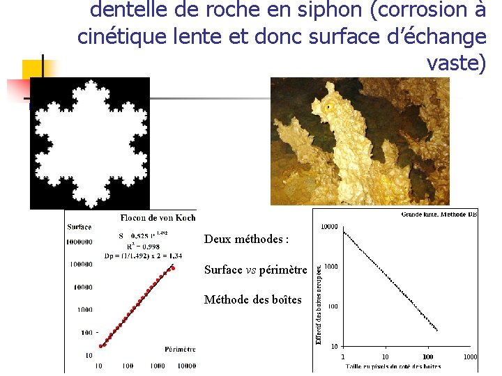 dentelle de roche en siphon (corrosion à cinétique lente et donc surface d’échange vaste)