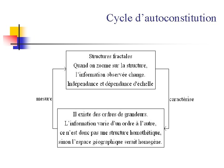 Cycle d’autoconstitution 