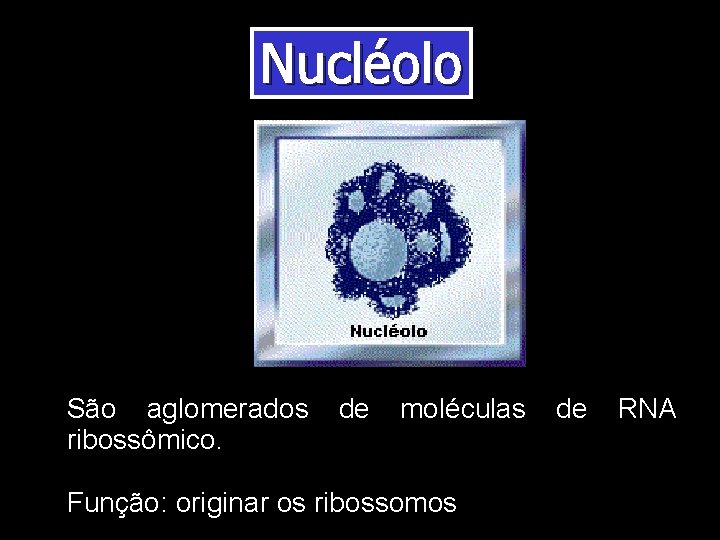 Nucléolo São aglomerados de moléculas de RNA ribossômico. Função: originar os ribossomos Nucléolo São aglomerados de moléculas de RNA ribossômico. Função: originar os ribossomos