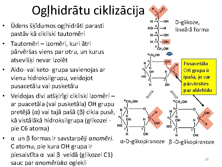 Ogļhidrātu ciklizācija D-glikoze, • Ūdens šķīdumos ogļhidrāti parasti lineārā forma pastāv kā cikliski tautomēri