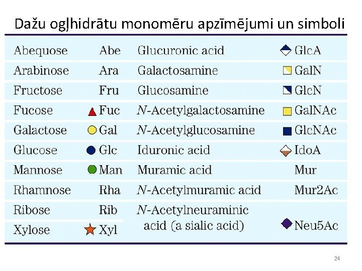 Dažu ogļhidrātu monomēru apzīmējumi un simboli 24 