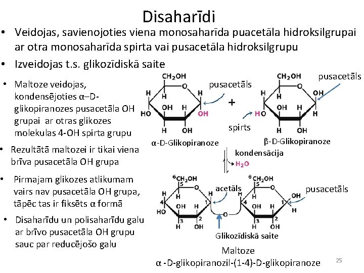 Disaharīdi • Veidojas, savienojoties viena monosaharīda puacetāla hidroksilgrupai ar otra monosaharīda spirta vai pusacetāla