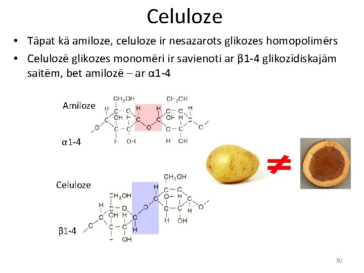 Celuloze • Tāpat kā amiloze, celuloze ir nesazarots glikozes homopolimērs • Celulozē glikozes monomēri