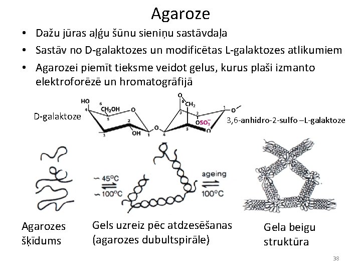 Agaroze • Dažu jūras aļģu šūnu sieniņu sastāvdaļa • Sastāv no D-galaktozes un modificētas