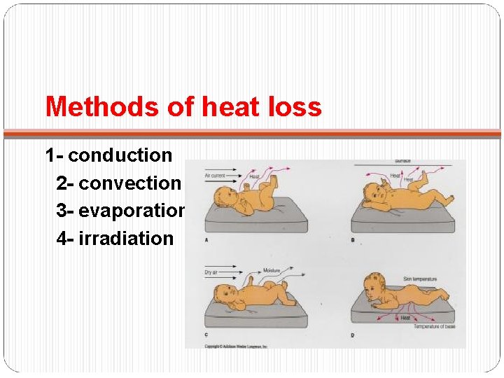 Methods of heat loss 1 - conduction 2 - convection 3 - evaporation 4