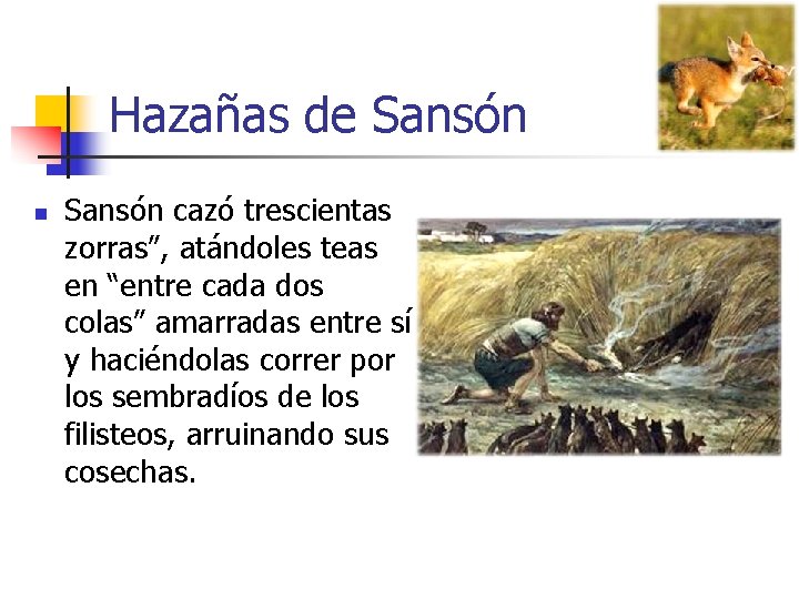 Hazañas de Sansón n Sansón cazó trescientas zorras”, atándoles teas en “entre cada dos