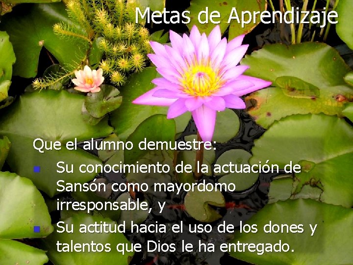 Metas de Aprendizaje Que el alumno demuestre: n Su conocimiento de la actuación de