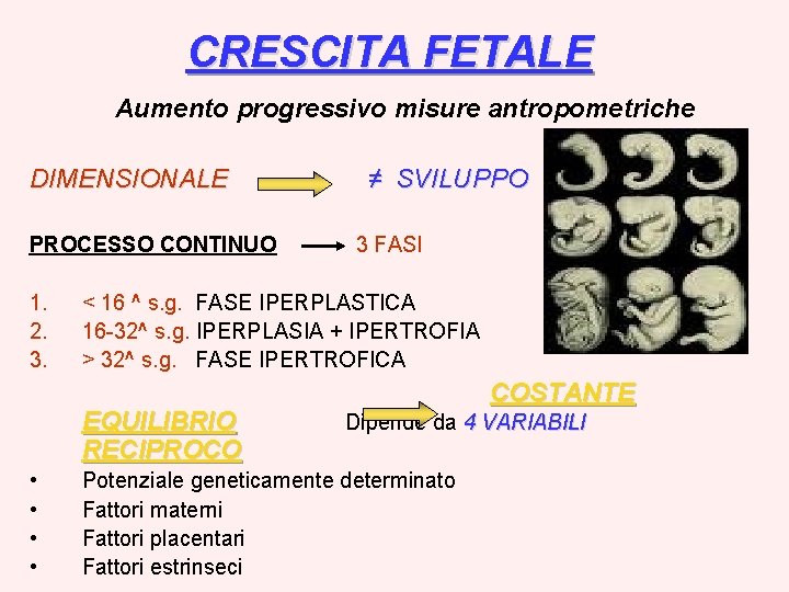 CRESCITA FETALE Aumento progressivo misure antropometriche DIMENSIONALE PROCESSO CONTINUO 1. 2. 3. 3 FASI