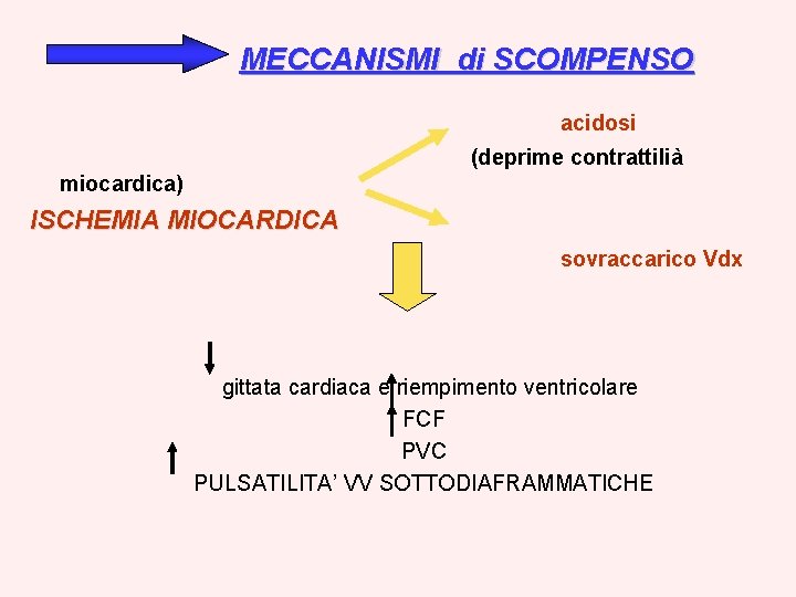 MECCANISMI di SCOMPENSO acidosi (deprime contrattilià miocardica) ISCHEMIA MIOCARDICA sovraccarico Vdx gittata cardiaca e
