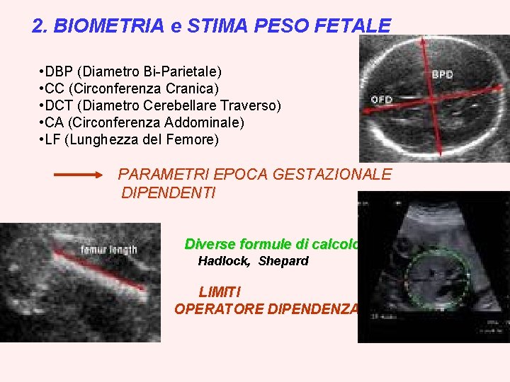 2. BIOMETRIA e STIMA PESO FETALE • DBP (Diametro Bi-Parietale) • CC (Circonferenza Cranica)