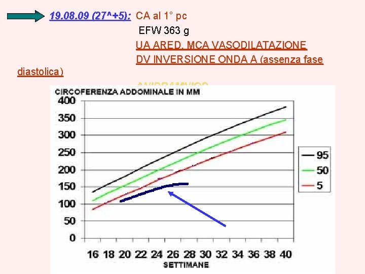 19. 08. 09 (27^+5): CA al 1° pc EFW 363 g UA ARED, MCA