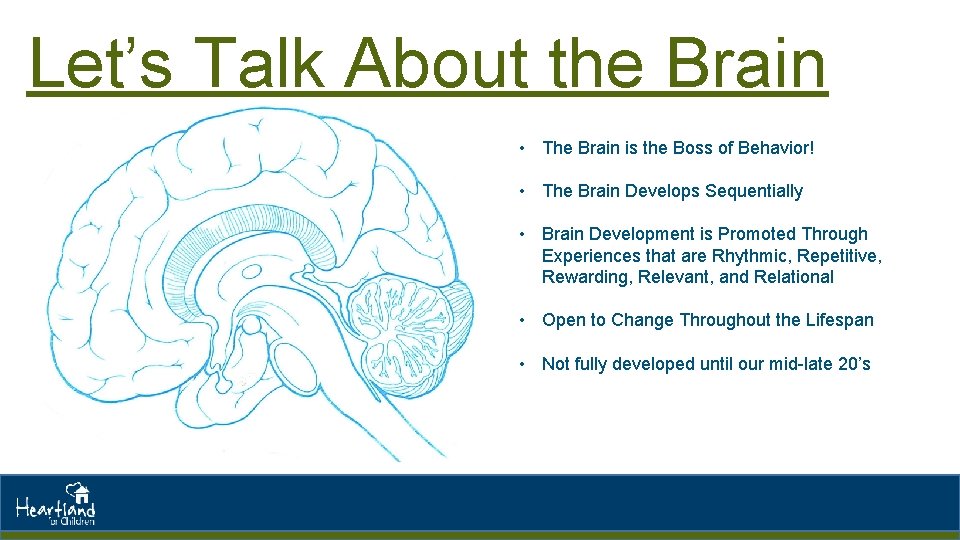 Let’s Talk About the Brain • The Brain is the Boss of Behavior! •