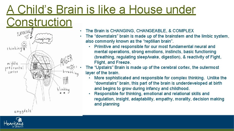 A Child’s Brain is like a House under Construction • The Brain is CHANGING,