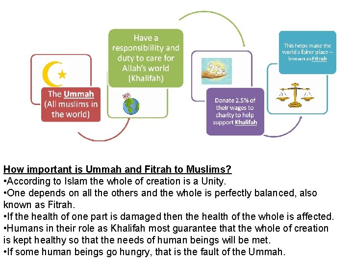 How important is Ummah and Fitrah to Muslims? • According to Islam the whole